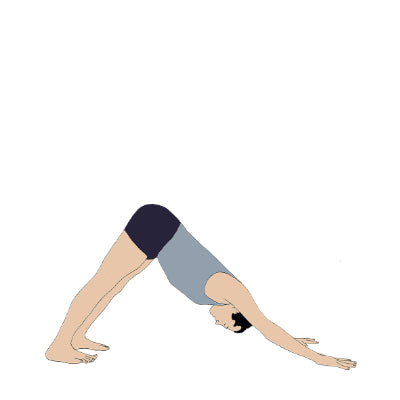 Adho Mukha Svanasana