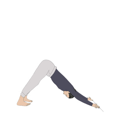 Adho Mukha Svanasana with wall