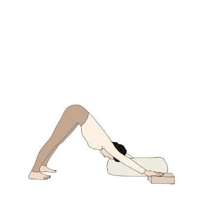 Adho Mukha Svanasana supported