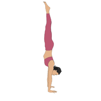 Adho Mukha Vrksasana