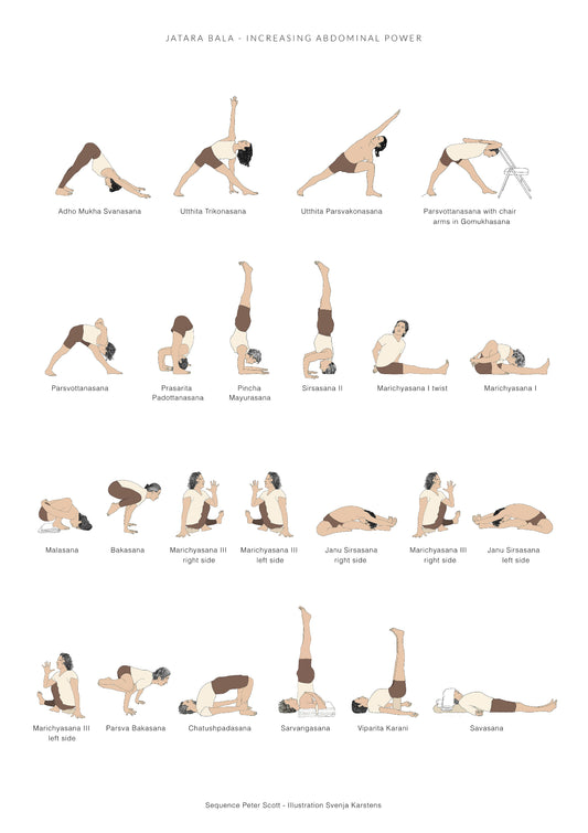 Svejar Poster - Abdominal Power