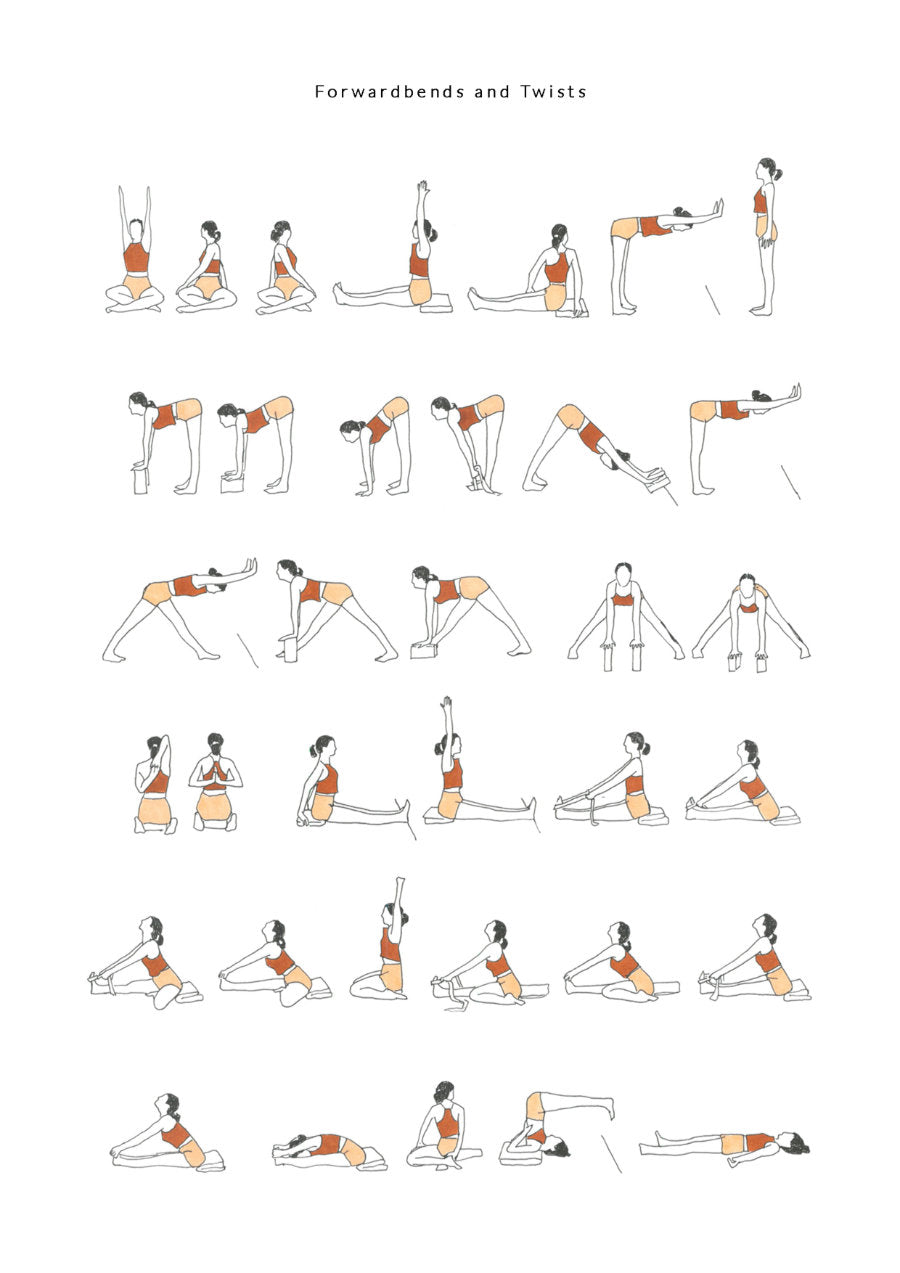 Beginner Yoga Sequence - Forwardbends and Twists