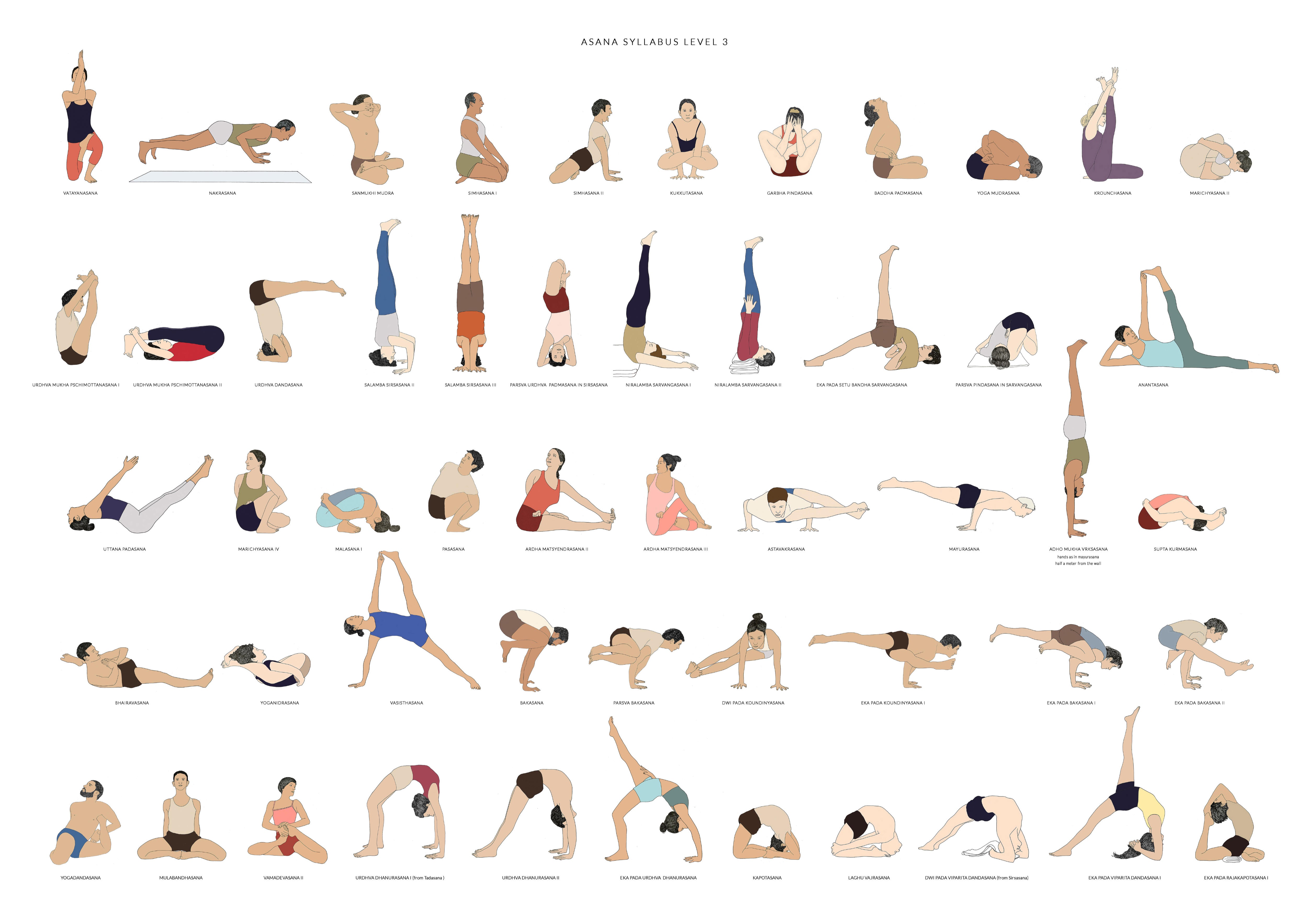 Sevjar Yoga Poster - Asana Syllabus Level 3 – Svejar Yoga Illustrations