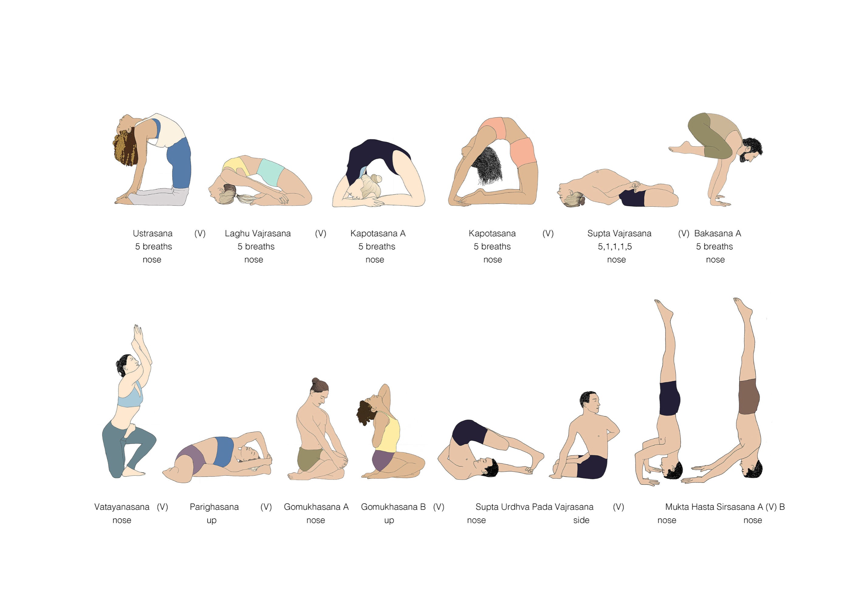 Yoga poses (Asana, poses, postures) and dynamic movement (Vinyasa) for  Ashtanga - AshtangaYoga.info