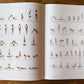 Sequence Collection