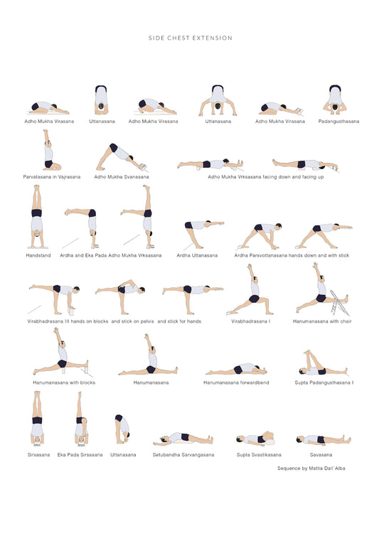 Svejar Sequnce Collection ebook - side chest extension picture