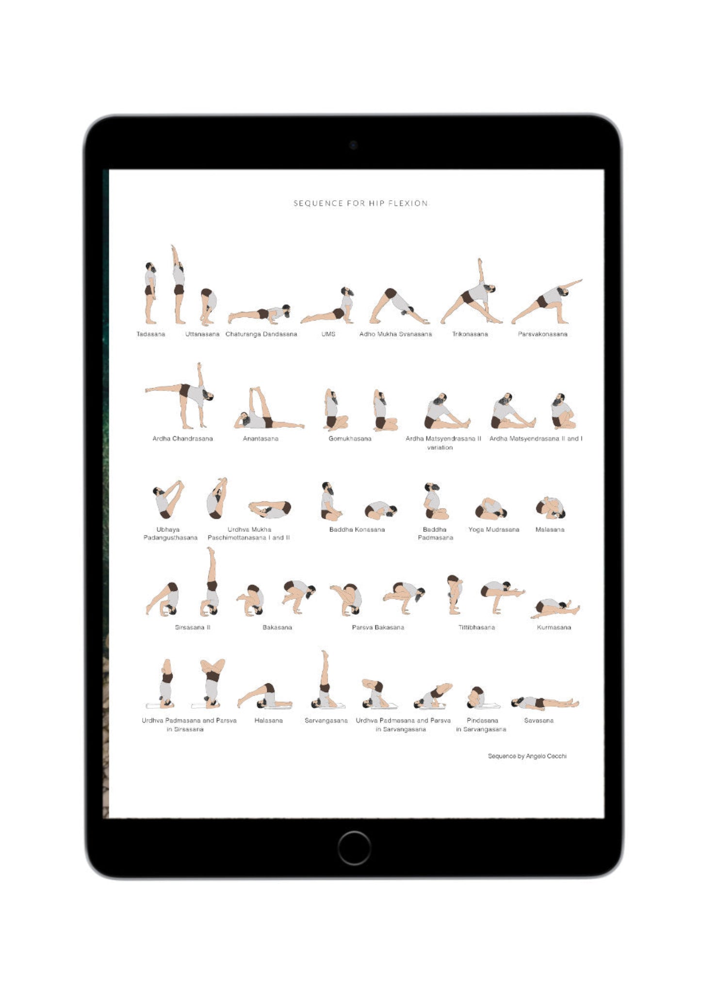 Svejar Sequnce Collection ebook - iPad mockup