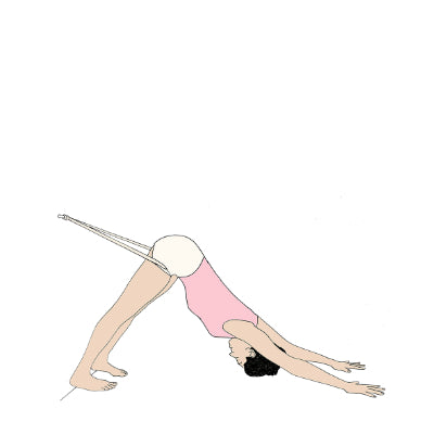 Adho Mukha Svanasana with ropes