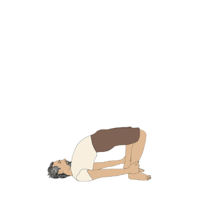 Chatushpadasana