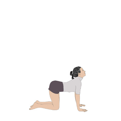 Bitilasana