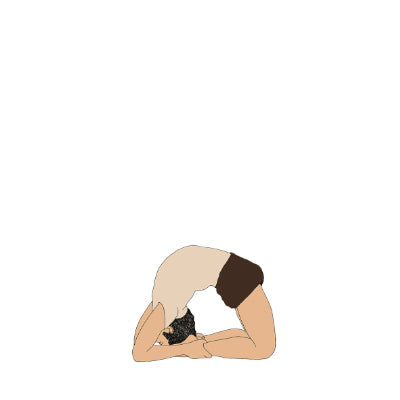 Kapotasana