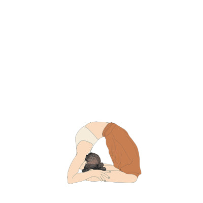 Kapotasana