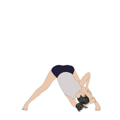 Parsva Prasarita Padottanasana