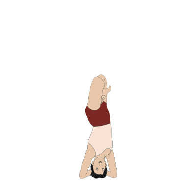 Parsva Urdhva Padmasana in Sirsasana