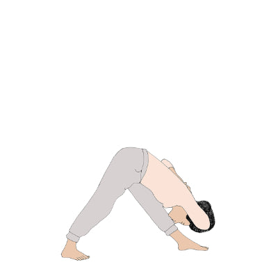 Parsvottanasana Gomukhasana