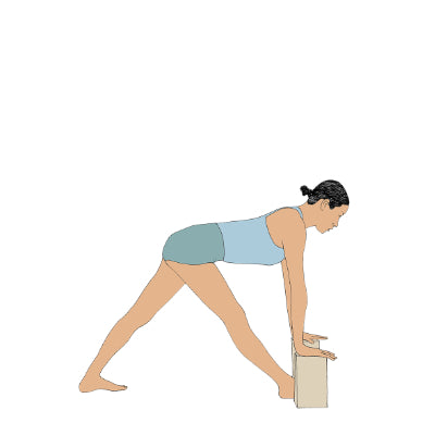 Parsvottanasana with blocks