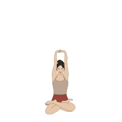 Parvatasana in Padmasana