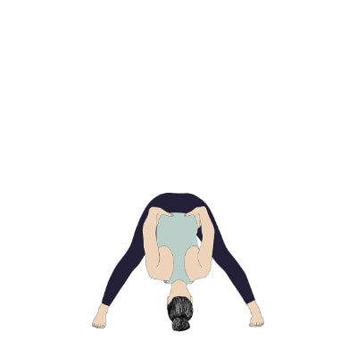 Prasarita Padottanasana B