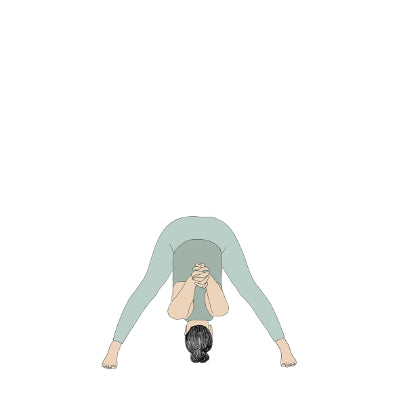 Prasarita Padottanasana C