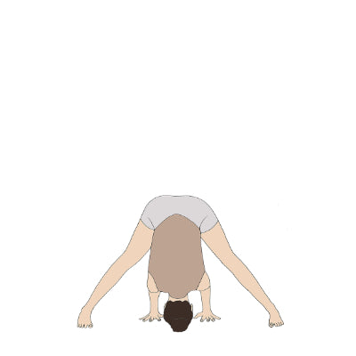 Prasarita Padottanasana I