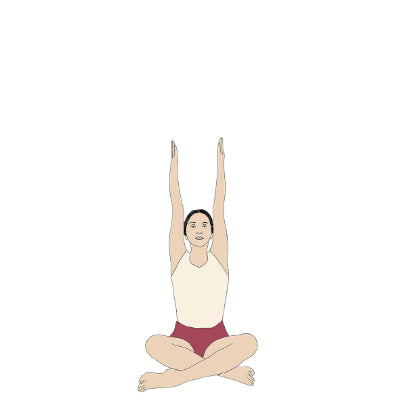 Svastikasana Urdhva Hasta – Svejar Yoga Illustrations