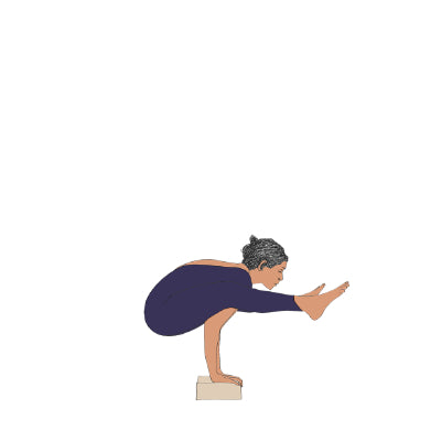 Tittibhasana with blocks