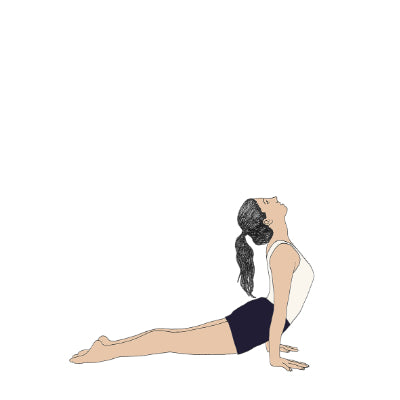 Urdhva Mukha Svanasana