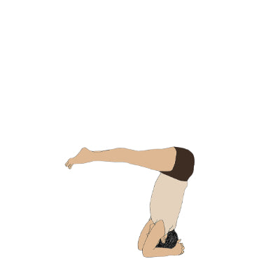 Urdhva Dandasana