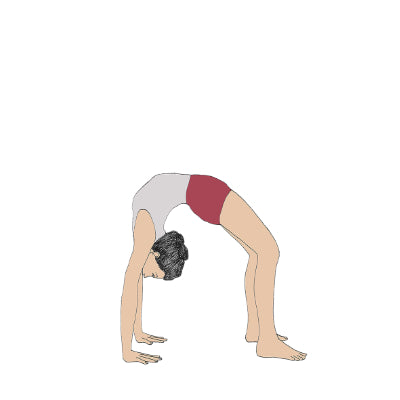 Urdhva Dhanurasana