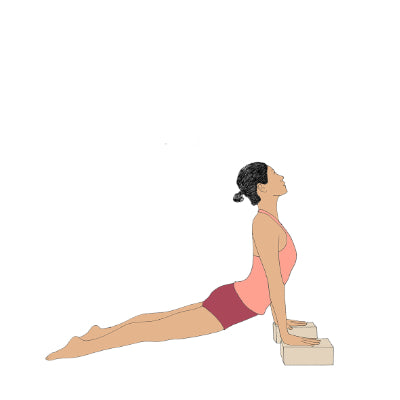 Urdhva Mukha Svanasana with blocks