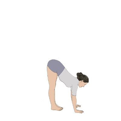 Uttanasana concave