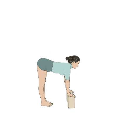 Uttanasana with blocks