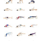 Svejar Yoga Poster - Setubandha Variations Overview