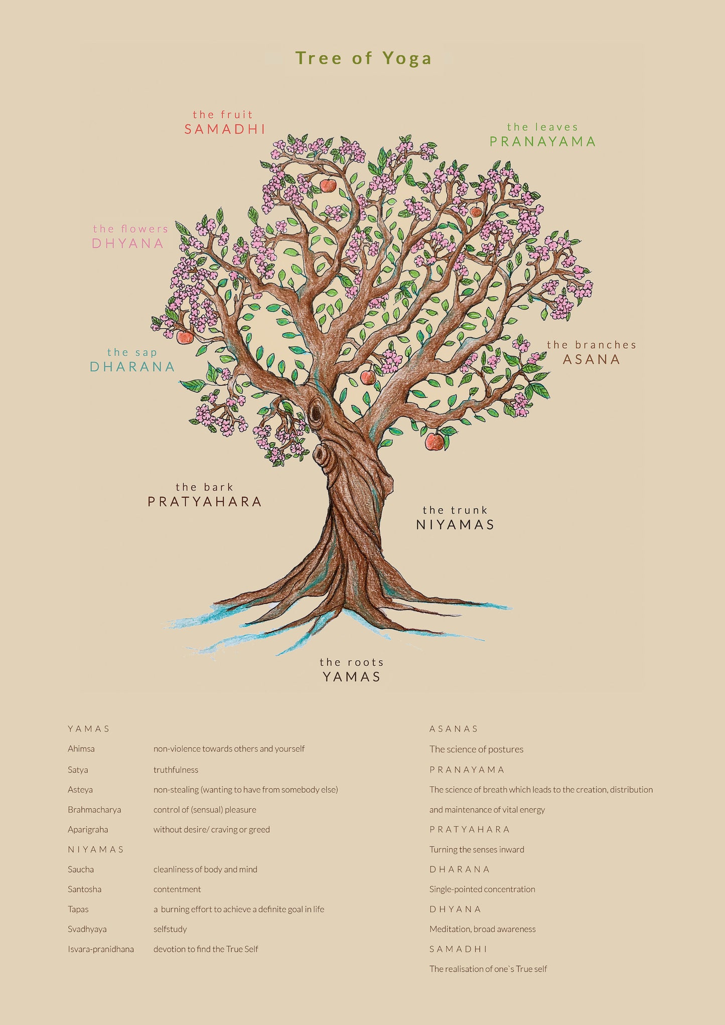 Tree of Yoga Poster – new edition