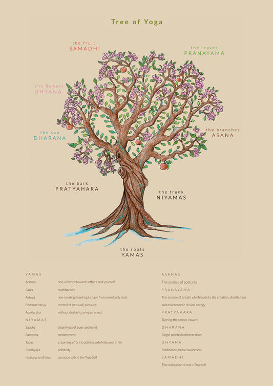 Tree of Yoga Poster – new edition