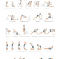 Svejar Poster - Sequence for Dhanurasana
