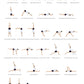 Svejar Poster - Side Chest Extension