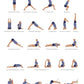 Svejar Poster Bundle - Eka Pada Rajakapotasana