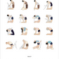 Calendar page for May showing illustrations of various yoga poses.