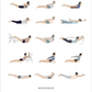 Calendar page for November showing illustrations of various yoga poses.