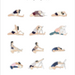Yoga calendar with illustrations of various yoga poses on a white background