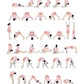 Advanced Yoga Sequence - Backbends Purvottanasana Urdhva Dhanurasana.
