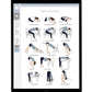 Yogo Sequence Covid-19 Recovery - Mockup iPad