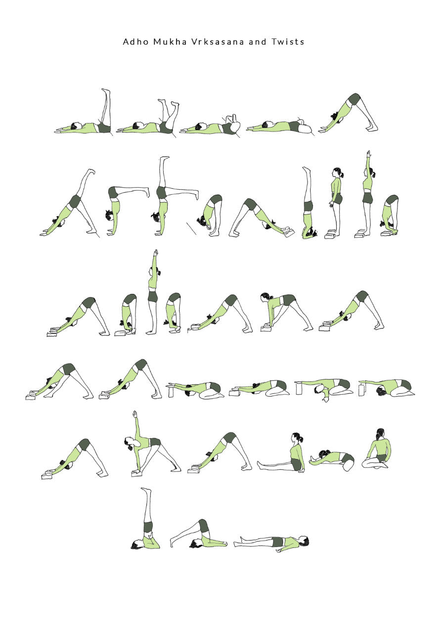 Intermediate Yoga Sequence - Adho Mukha Vrksasana and Twists