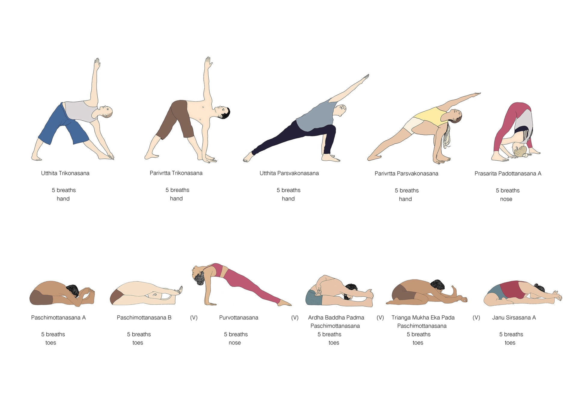 Beginners Yoga/Stretch Poses  Ashtanga yoga primary series, Ashtanga yoga  postures, Yoga stretches for beginners
