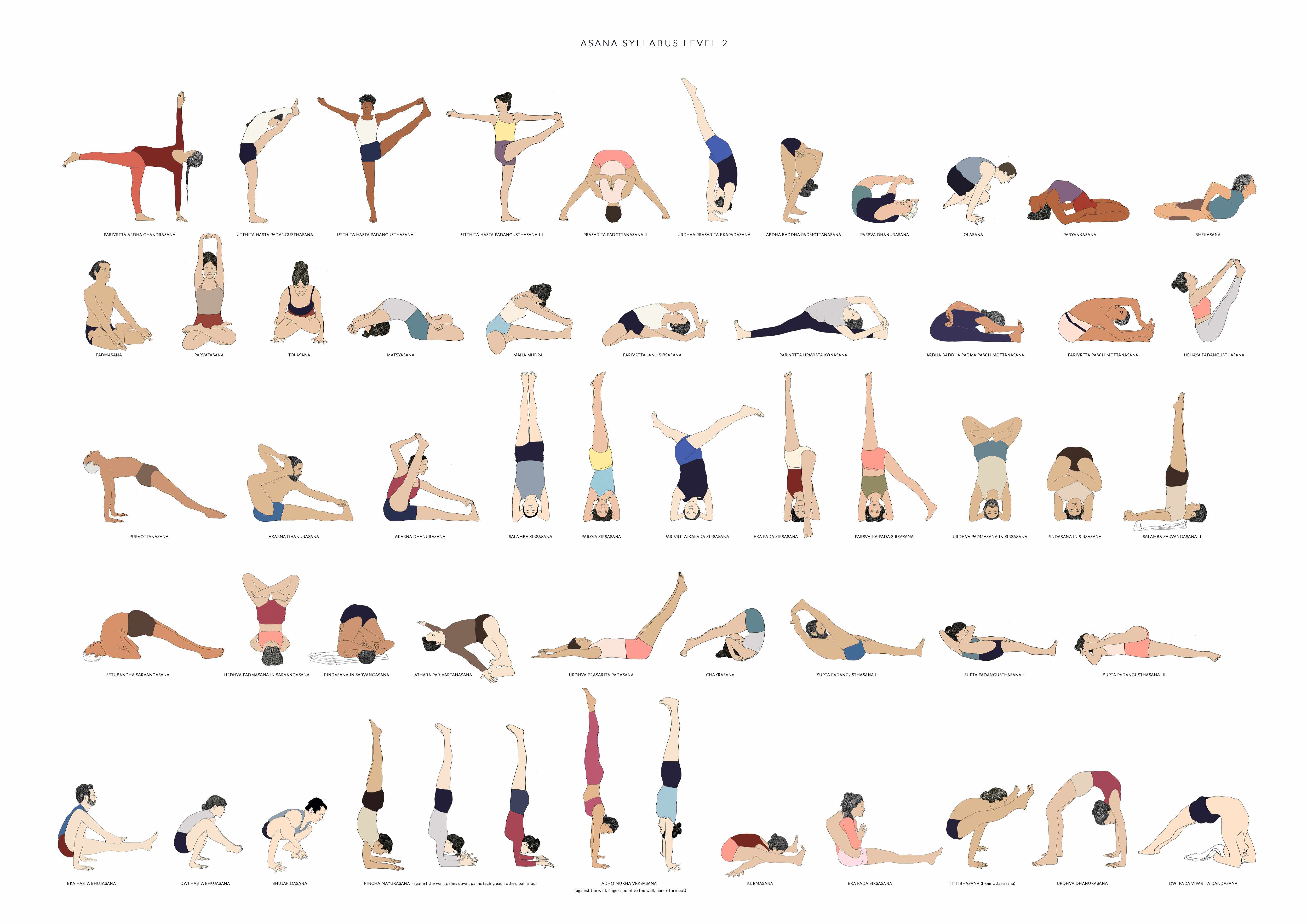Ashtanga Yoga Pose Chart Quick Reference Educational Aid Poster - Etsy |  Ashtanga vinyasa yoga, Vinyasa yoga, Ashtanga yoga