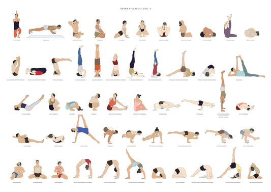 Sevjar Yoga Poster - Asana Syllabus Level 3