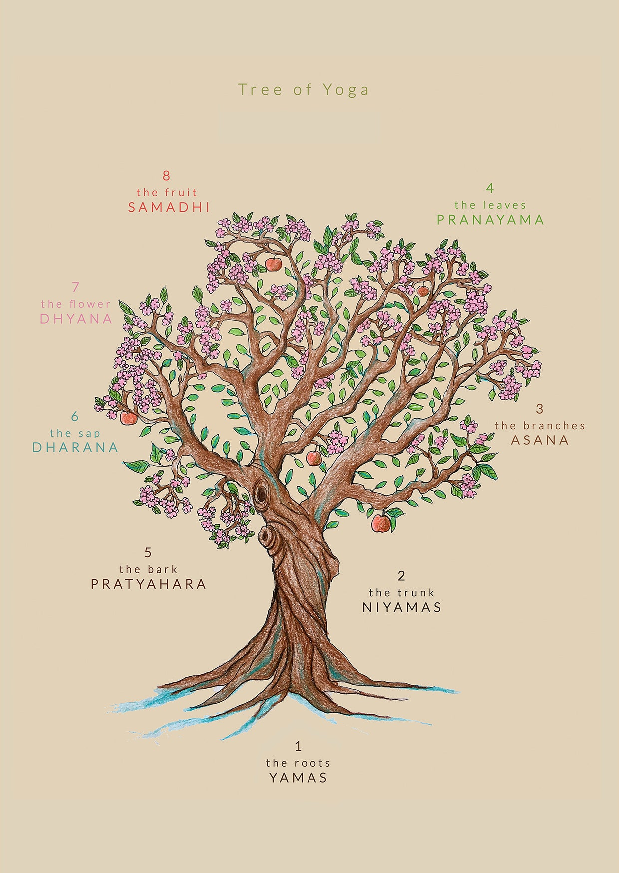 Tree of Yoga – Svejar Yoga Illustrations